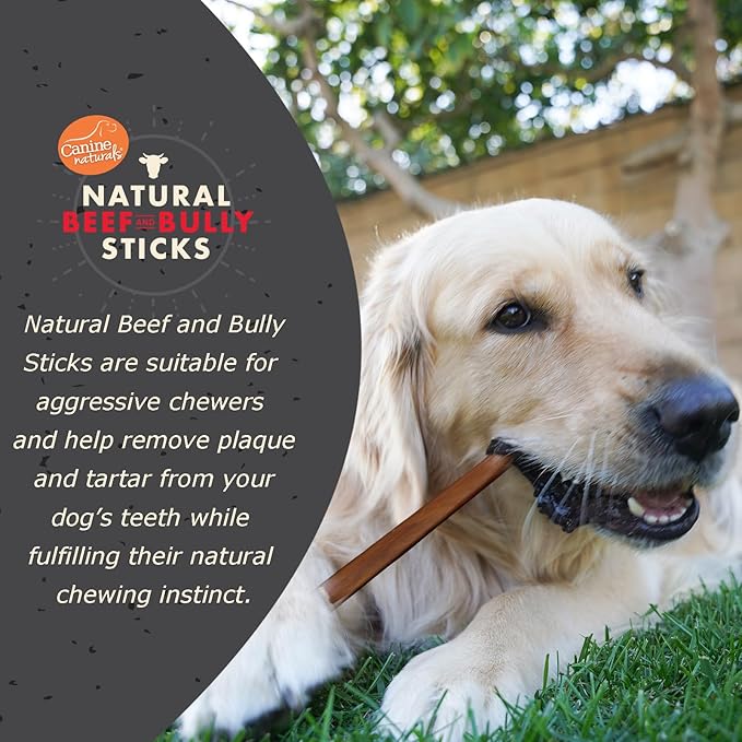 Canine Naturals | Natural Beef & Bully Sticks | Long - Lasting, Odor Free, High Protein Chews Made with 100% Real Bully | 4 Count small Sticks