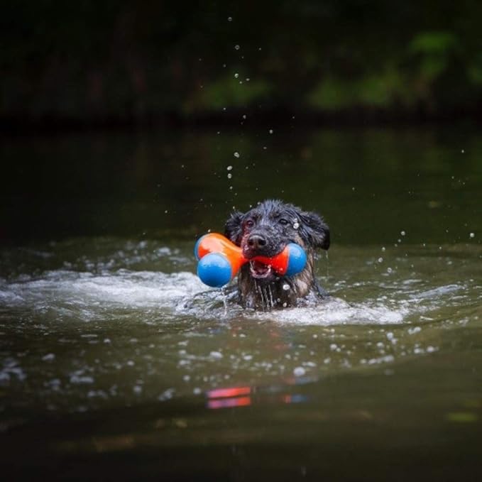 Chuckit amphibious tri bumper dog toy
