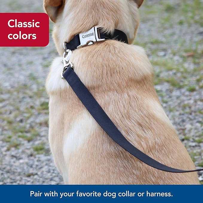 Coastal 6’ leash - black