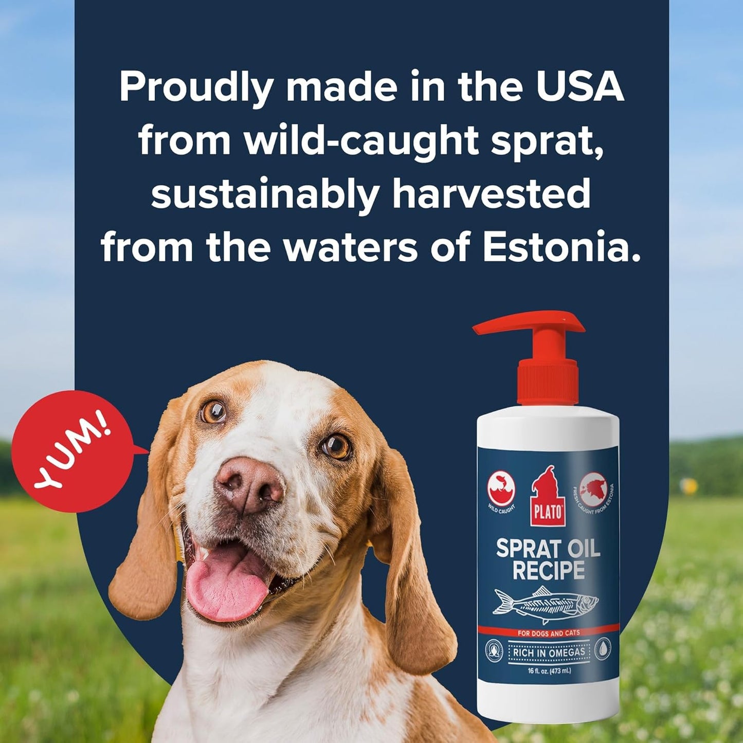 Plato sprat oil recipe 8oz spray dog cat omega oils