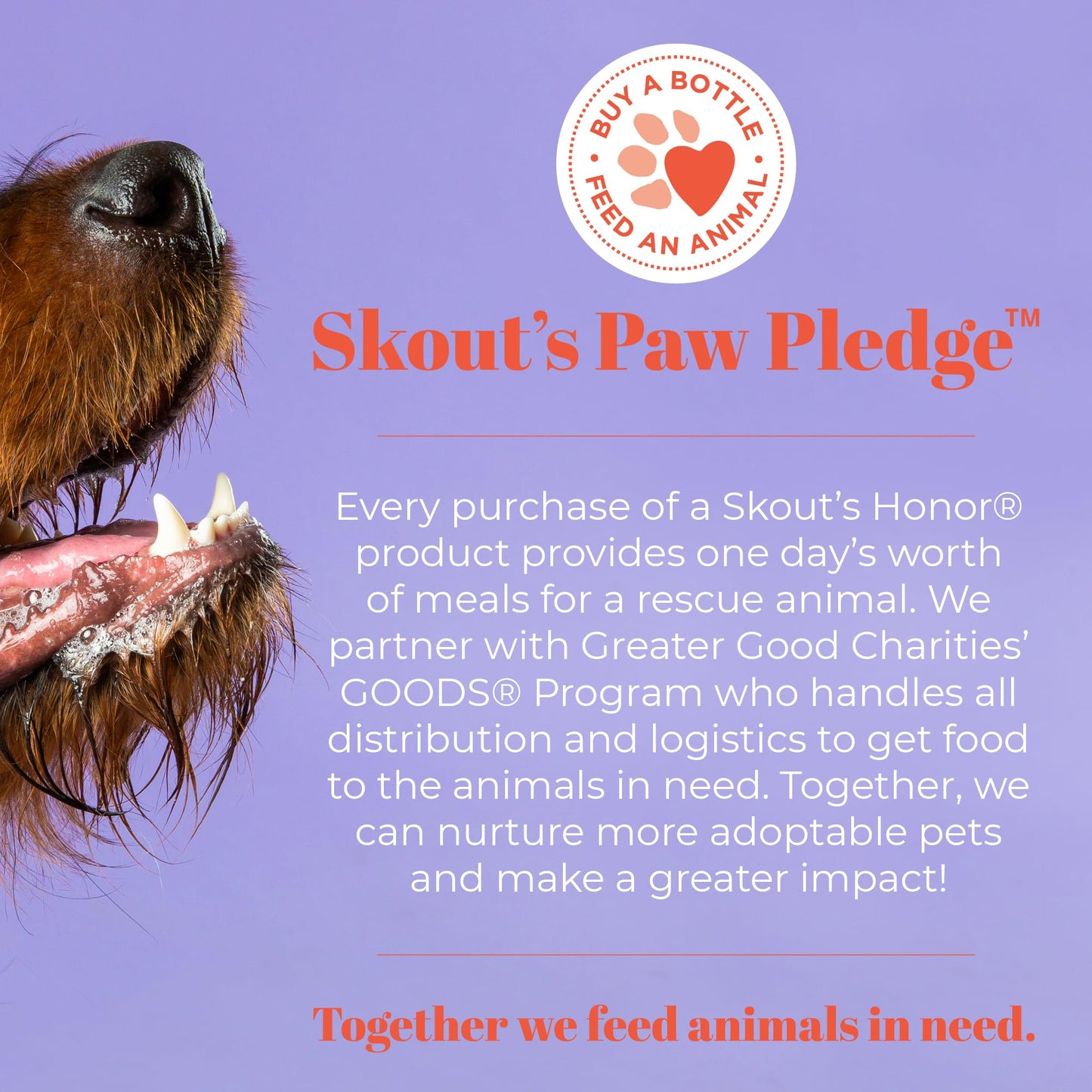 Skout'S Honor: Advanced Dental Drops For Dogs & Cats 4Oz