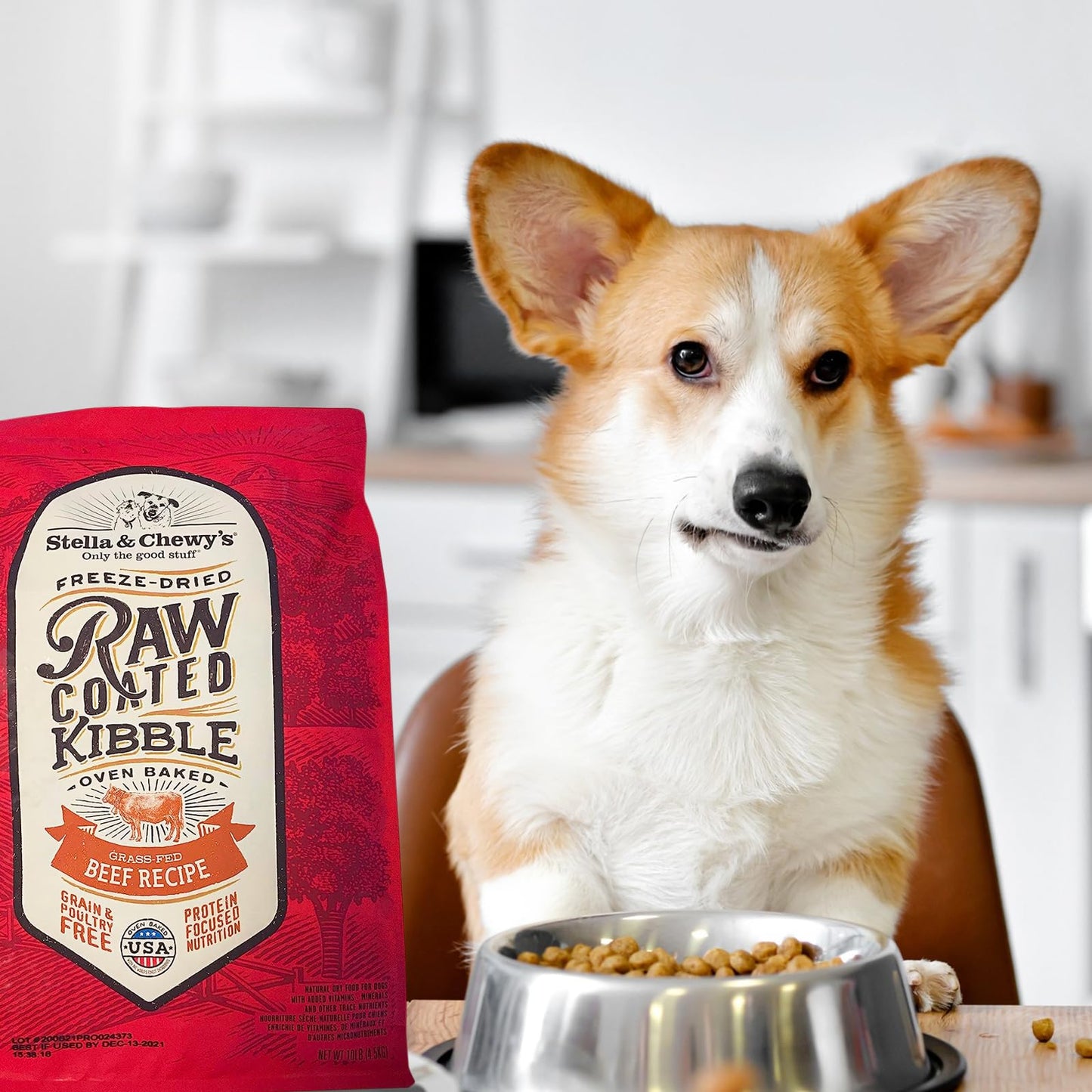 Stella & Chewy's Raw Coated Beef Recipe Dog Food | High - Protein Kibble (10 lb)