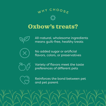 Oxbow Simple Rewards Baked Treats with Apples and Baas for Rabbits, Guinea Pigs, Chinchillas, and Small Pets 3 Ounce (Pack of 1)