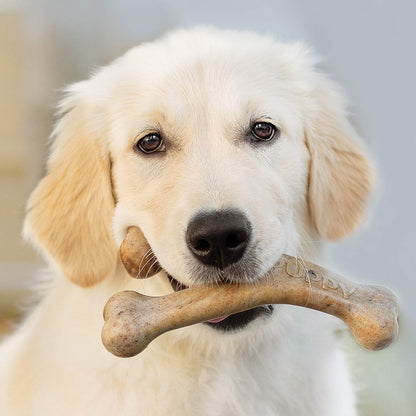 Benebone Puppy Fishbone Dog Chew Toys, Softer for Modest Chewers, Made in USA