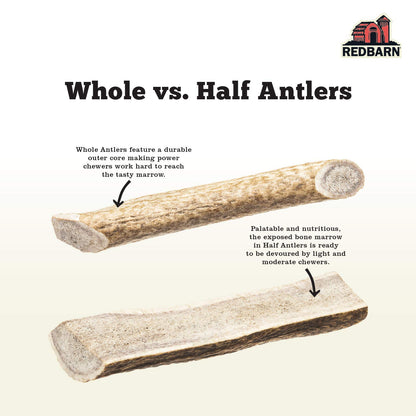 Redbarn Half Deer Antler Large for Dogs
