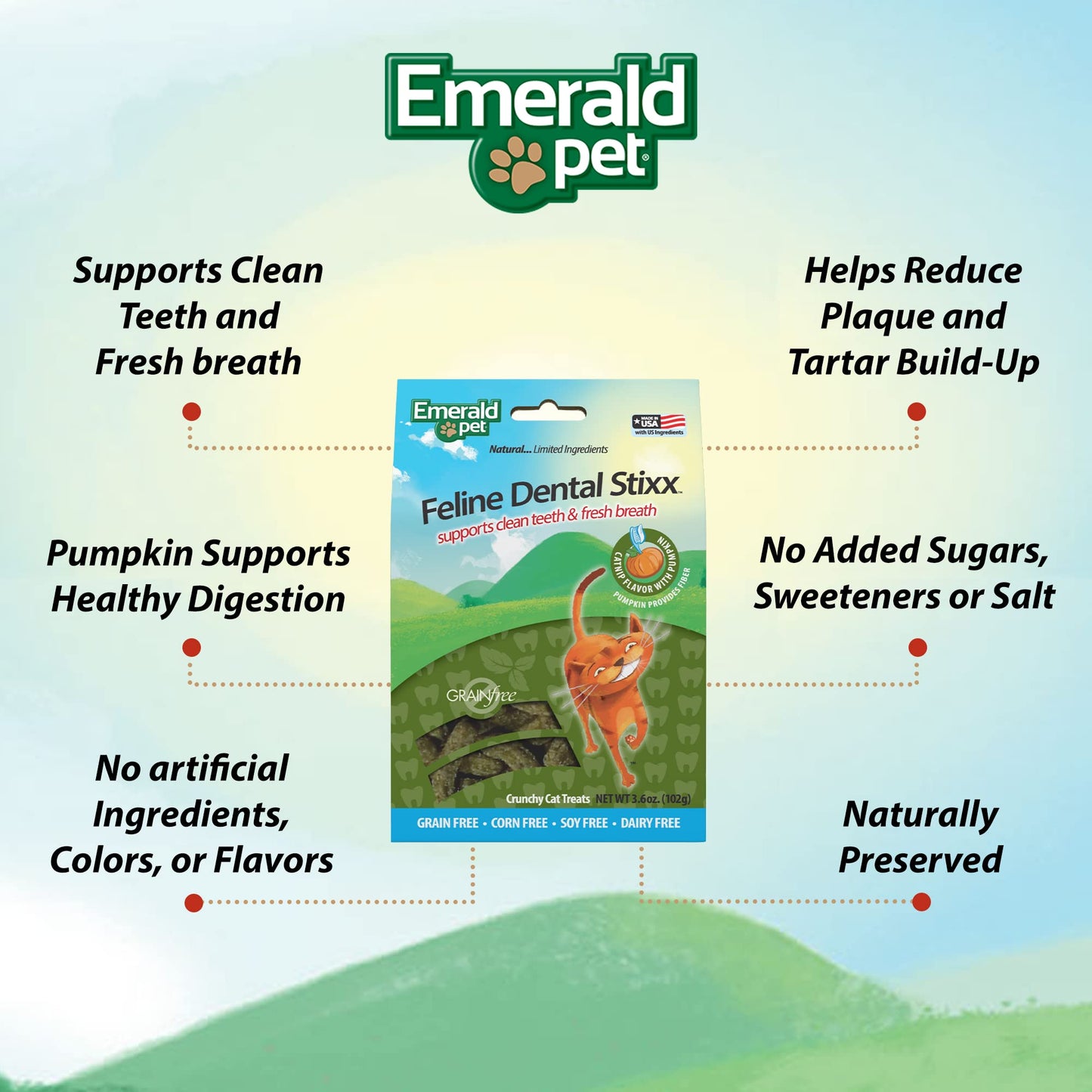 Emerald Pet Feline Dental Stixx — Tasty and Crunchy Cat Dental Sticks with Pumpkin for Digestive Health — Natural Grain Free Dental Treats for Clean Cat Teeth and Fresh Breath — Catnip Stixx, 3.6 oz