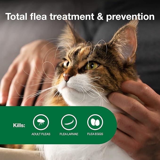 Advantage large cat ll flee prevention and treatment 1 monthly dose