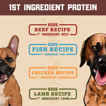 Boss Dog Complete & Balanced Freeze Dried Raw Diet for Dogs, Fish Recipe, 12 oz Bag