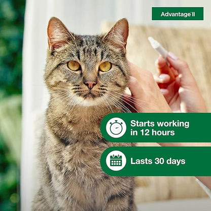 Advantage large cat ll flee prevention and treatment 1 monthly dose