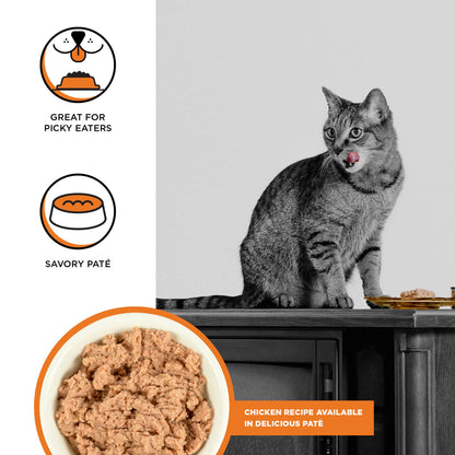 BIXBI Rawbble Chicken Pate Recipe Cans – Grain Free, Protein Rich Wet Cat Food – (2.75 Ounce Cans)