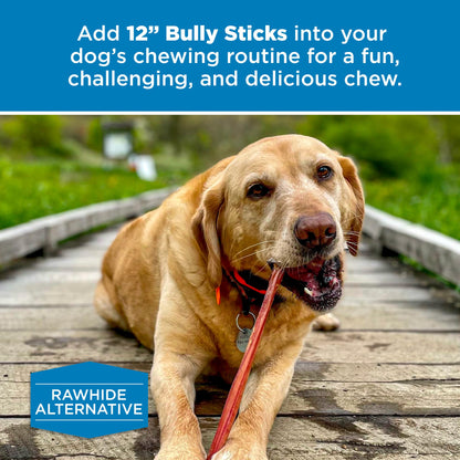 Best Bully Sticks 12 Inch Bully Sticks - 8 oz (Pack of 1) - 100% Natural Grass-Fed, Perfect for Medium or Large Canines