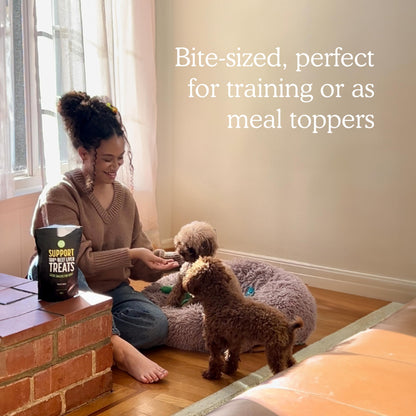 Get Joy Freeze Dried Superfood 100% Beef Liver Dog Treats, 4 Ounce Bag, Single Ingredient Organ Meat, High Protein, Vision, Skin & Coat Health, Muscle Repair, Grain Free, Gluten Free, Made in USA