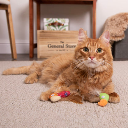 SmartyKat Instincts HappyNip Love Mates Feather Birds Plush Cat Toys, Contains Catnip & Silvervine - Orange/Green