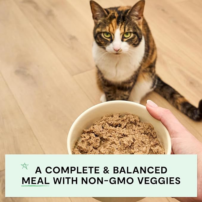 Open farm grain free chicken & grass fed beef recipe pate canned cat food 2.8oz