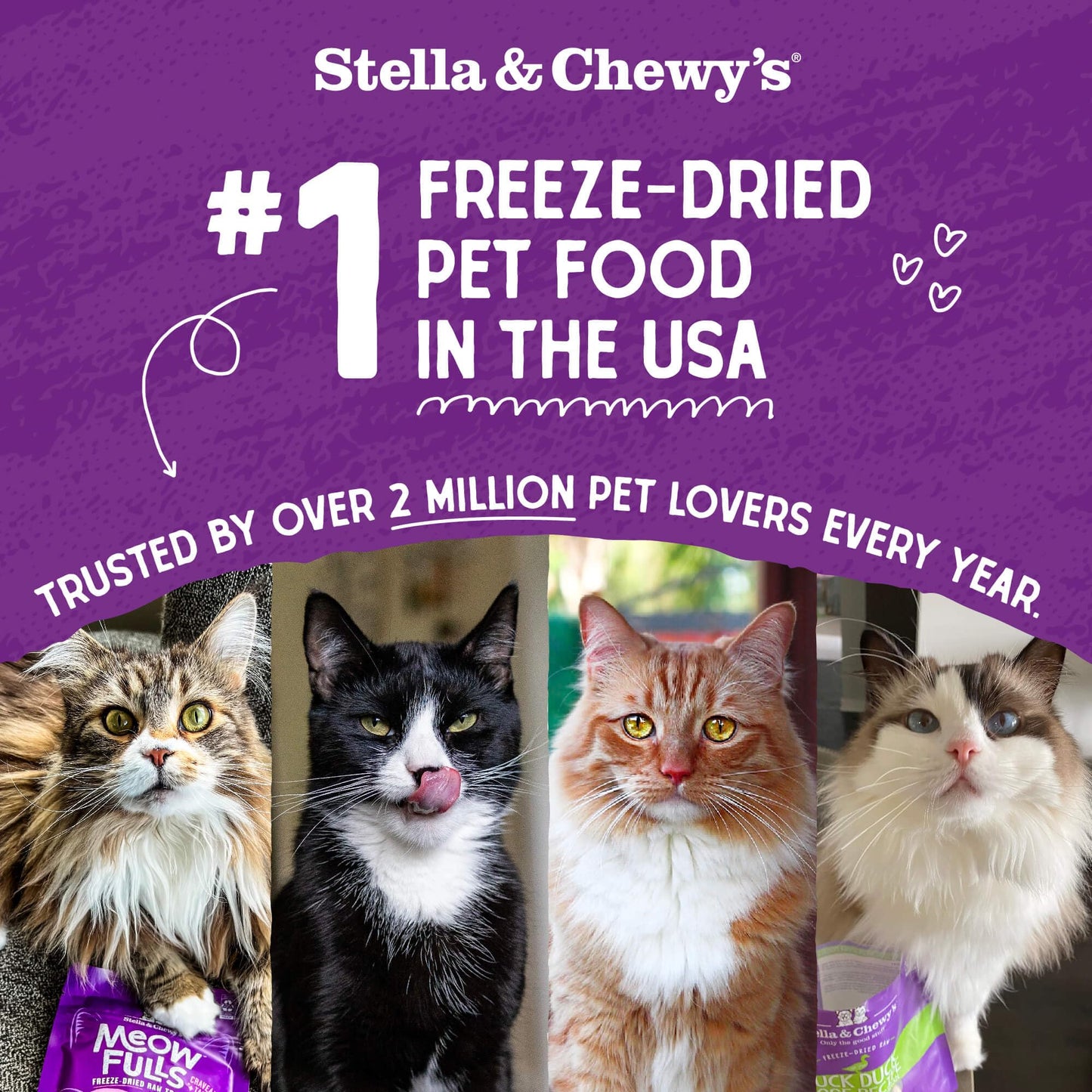 Stella & Chewy's Freeze-Dried Raw Cat Dinner Morsels – Grain Free, Protein Rich Cat & Kitten Food – Chick Chick Chicken Recipe – 3.5 oz Bag
