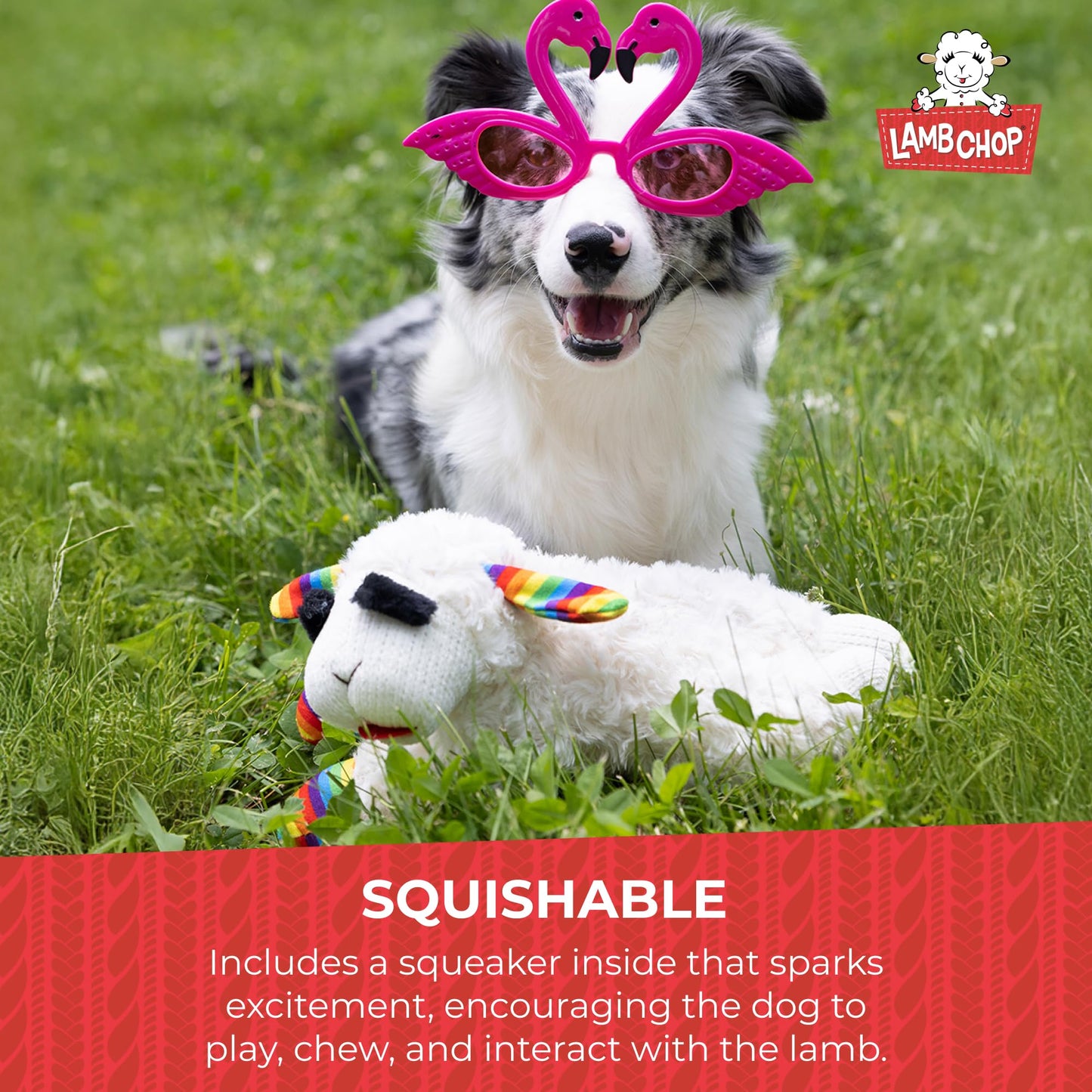 Multipet Lamb Chop Plush Dog Toy with Birthday Hat - Squeaky Toy for All Dogs (10.5”, Pink Hat, 5 Squeakers)