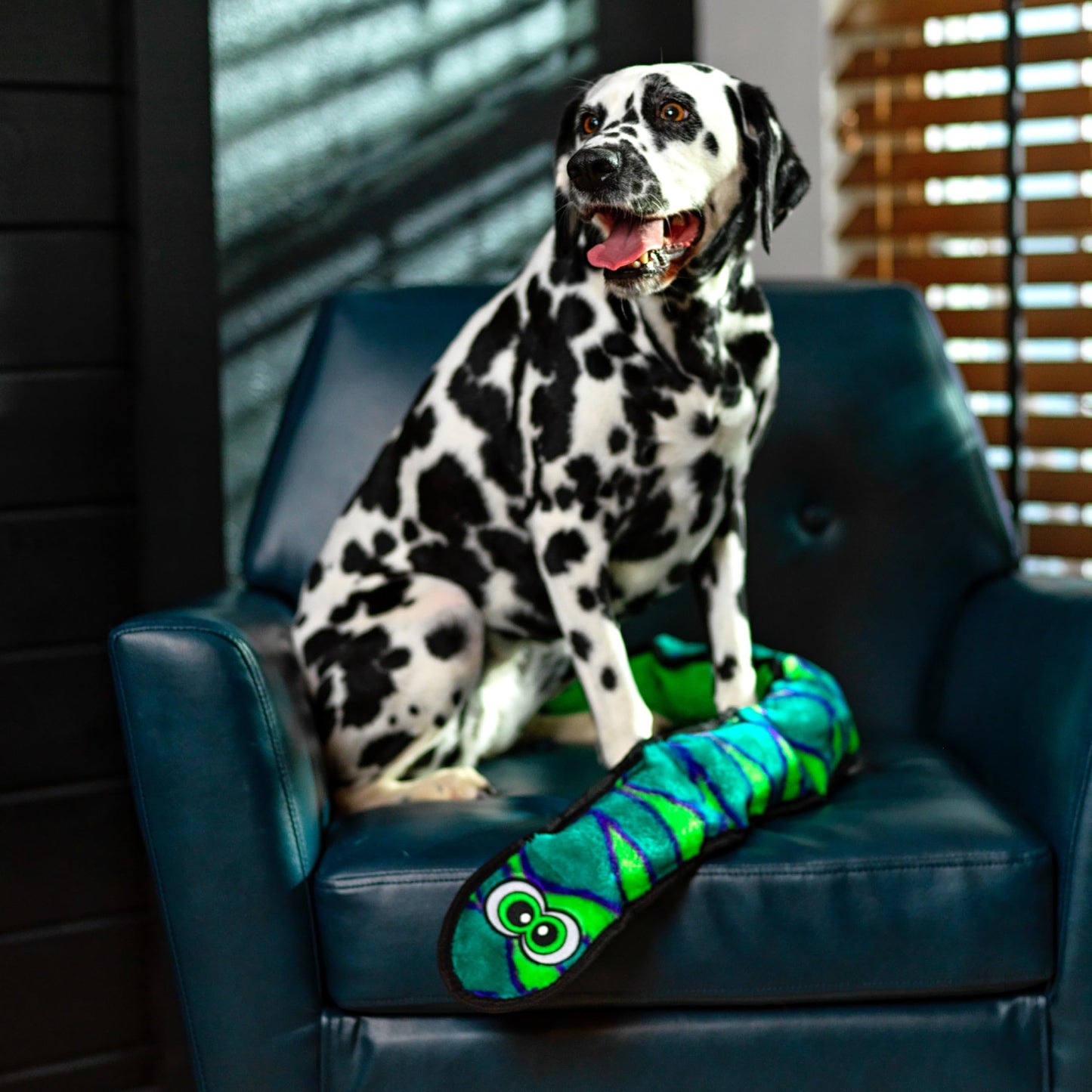 Outward Hound Durablez Tough Plush Squeaky Dog Toy, Snake, Blue, XL