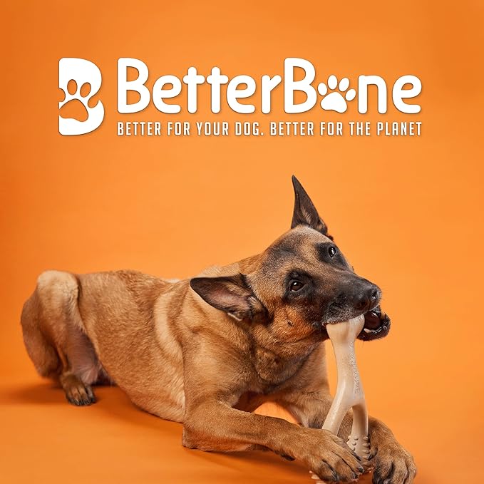 Better bone hard beef edible teething toy