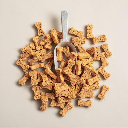 Polkadog Salmon Says Bone Shaped Treats - Omega-3 Rich, Low Fat Healthy Dog Treat - Digestible, Vitamin & Mineral Packed Dog Snacks - Crunchy 3-Ingredient Treat, Ideal for Dogs with Allergies - 7 oz