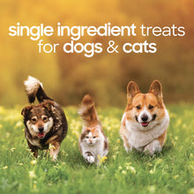 smallbatch Pets Premium Freeze-Dried Turkey Heart Treats for Dogs and Cats, 3.5 oz, Made and Sourced in The USA, Single Ingredient, Humanely Raise Meat, No Preservatives or Anything Artificial Ever