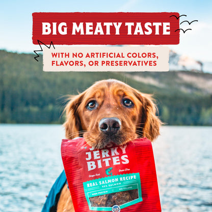 Stella & Chewy's Just Jerky Bites Real Chicken Recipe Dog Treats, 6 oz. Bag