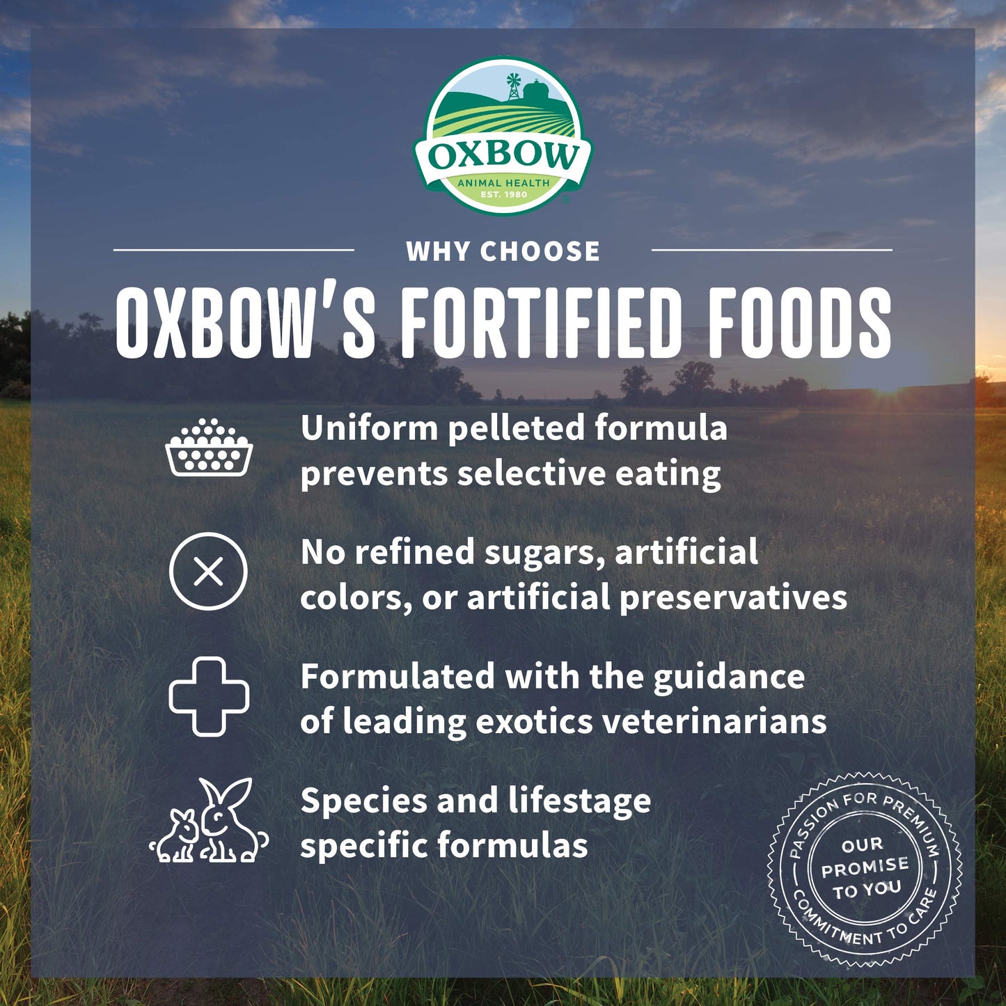 Oxbow Animal Health Garden Select Young Rabbit Food, Garden-Inspired Recipe for Young Rabbits, No Soy or Wheat, Non-GMO, Made in The USA, 4 lb Bag