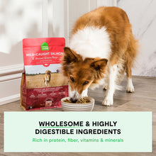 Open Farm, Ancient Grains Dry Dog Food for Puppies, Protein-Rich & Nutrient Dense, 90% Animal Protein Mixed with Non-GMO Fruits, Veggies and Superfoods, Salmon Recipe for Puppy, 4lb Bag