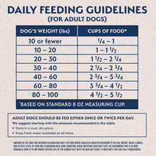 Natural Balance Limited Ingredient Adult Dry Dog Food with Healthy Grains, Salmon & Brown Rice Recipe, 4 Pound