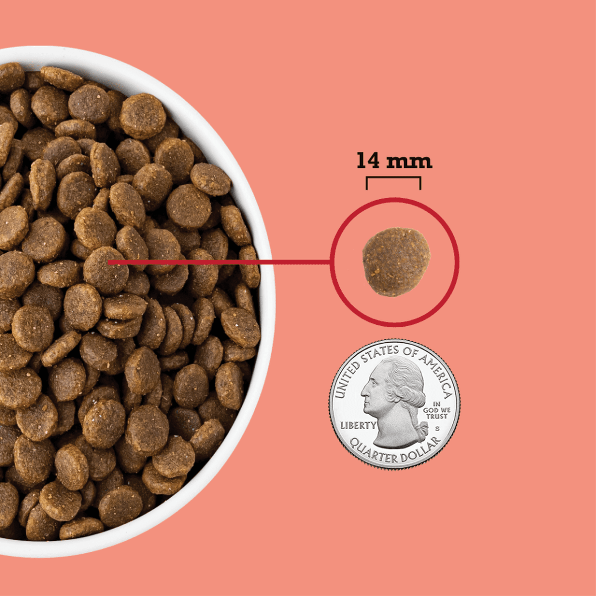 Acana red meat recipe dog food 32lbs