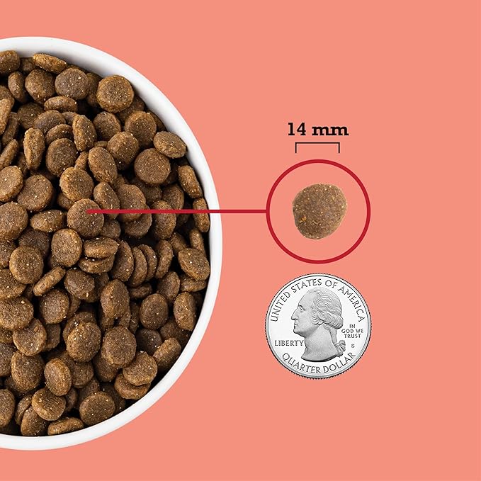 Acana red meat recipe dry kibble dog food 13lbs