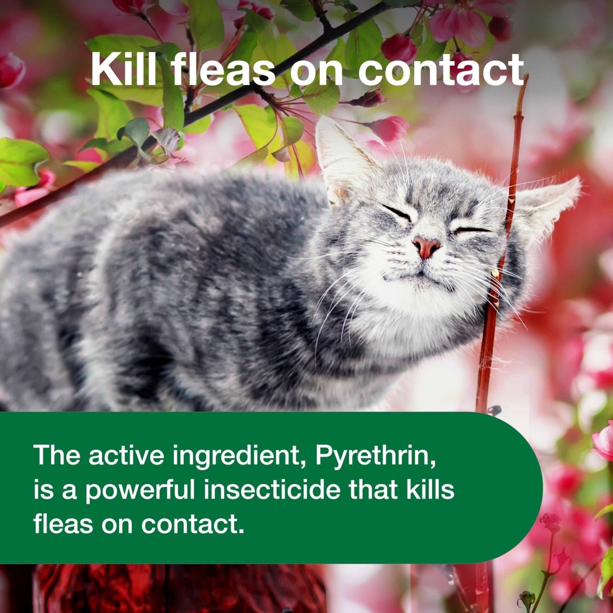 Advantage Flea and Tick Treatment Spray for Cats - 8 oz - 724089113450