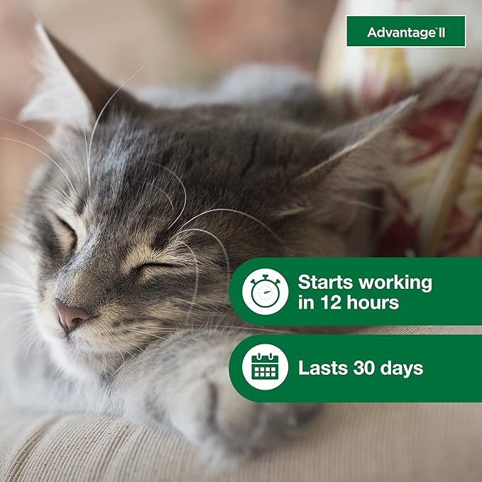Advantage ll small cat flee prevention and treatment