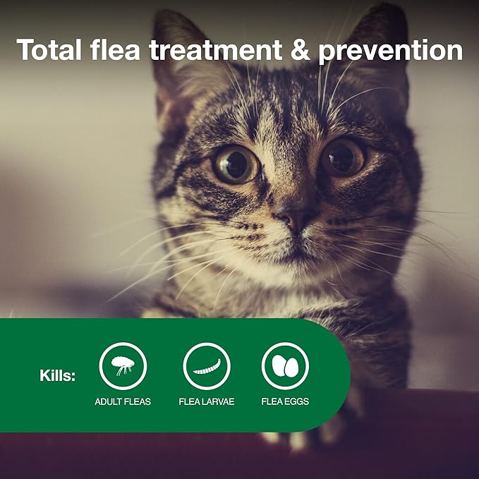 Advantage ll small cat flee prevention and treatment