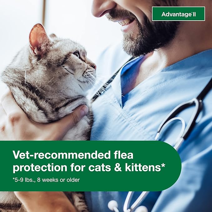 Advantage ll small cat flee prevention and treatment