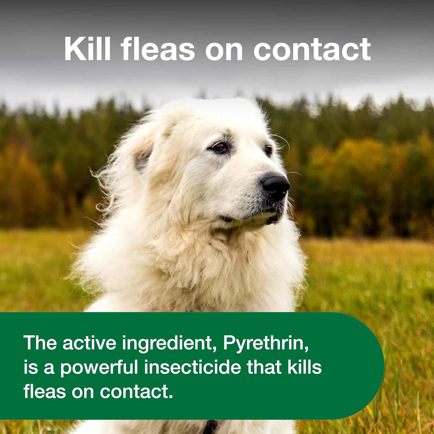 Advantage treatment spray for dogs kills fleas 8 fl oz