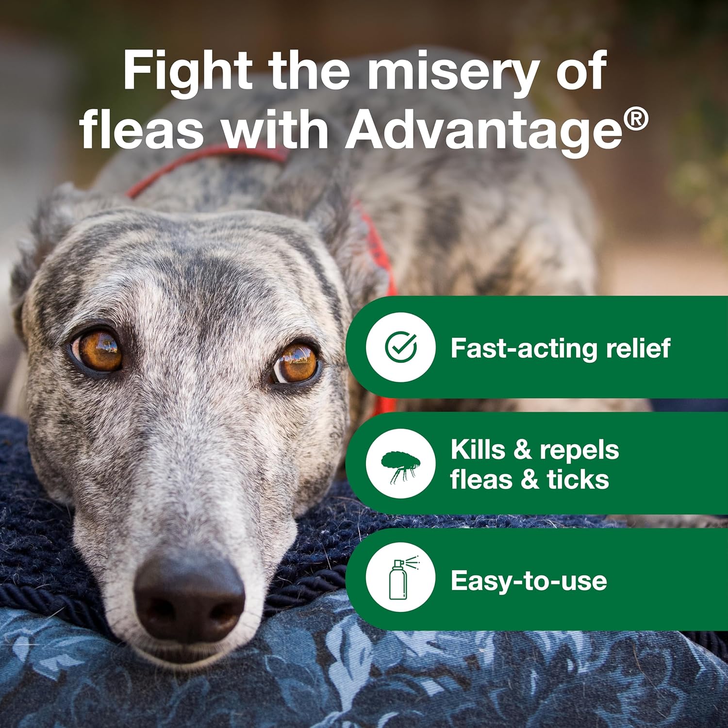 Advantage treatment spray for dogs kills fleas 8 fl oz