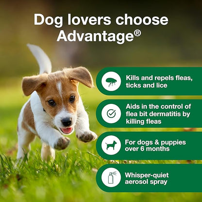 Advantage treatment spray for dogs kills fleas 8 fl oz