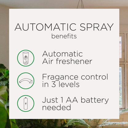 Air Wick Pure Automatic Air Freshener Spray - Refill Summer Delights Essential Oils Odor Neutralization - 5.89 oz - wick spray - 062338911014