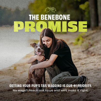 Benebone bounce cone dog toy