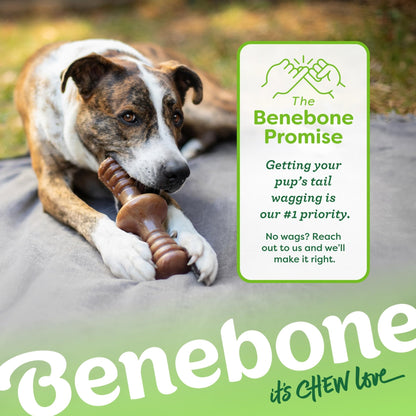 Benebone Zaggler Rolling Dog Chew Toy for Aggressive Chewers, Real Bacon, Made in USA, Large