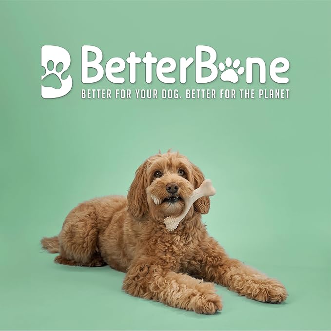 Better bone medium beef edible teething toy