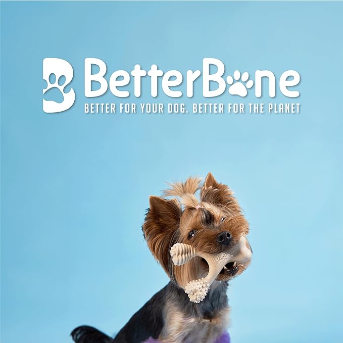 BetterBone Soft Density Classic Flavor Dog Chew Toy, Mini