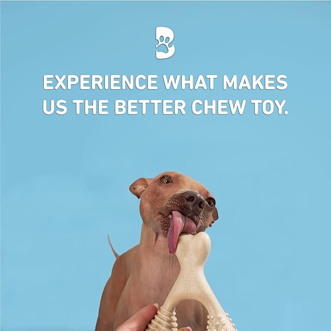 BetterBone Soft Density Classic Flavor Dog Chew Toy, Mini