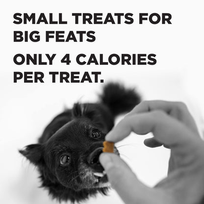 Bixbi Pocket Trainers, Salmon (6 Oz, 1 Pouch) - Small Training Treats For Dogs - Low Calorie And Grain Free Dog Treats, Flavorful Pocket Size Healthy And All Natural Dog Treats