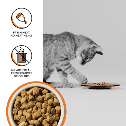 BIXBI Rawbble Freeze Dried Cat Food, Chicken Recipe, 3.5 oz - 95% Organs and Bone Raw Cat Food - USA Made
