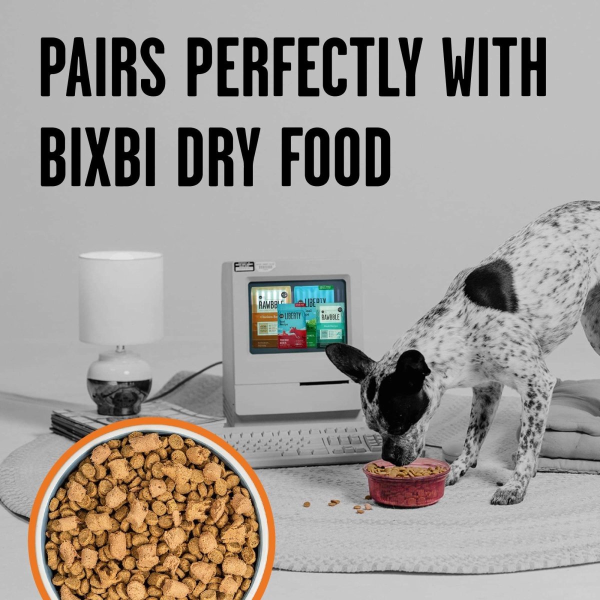 BIXBI Rawbble Freeze Dried Dog Food, Chicken Recipe, 26 oz - 98% Meat and Organs, No Fillers - Pantry - Friendly Raw Dog Food for Meal, Treat or Food Topper - USA Made in Small Batches - 091037509208