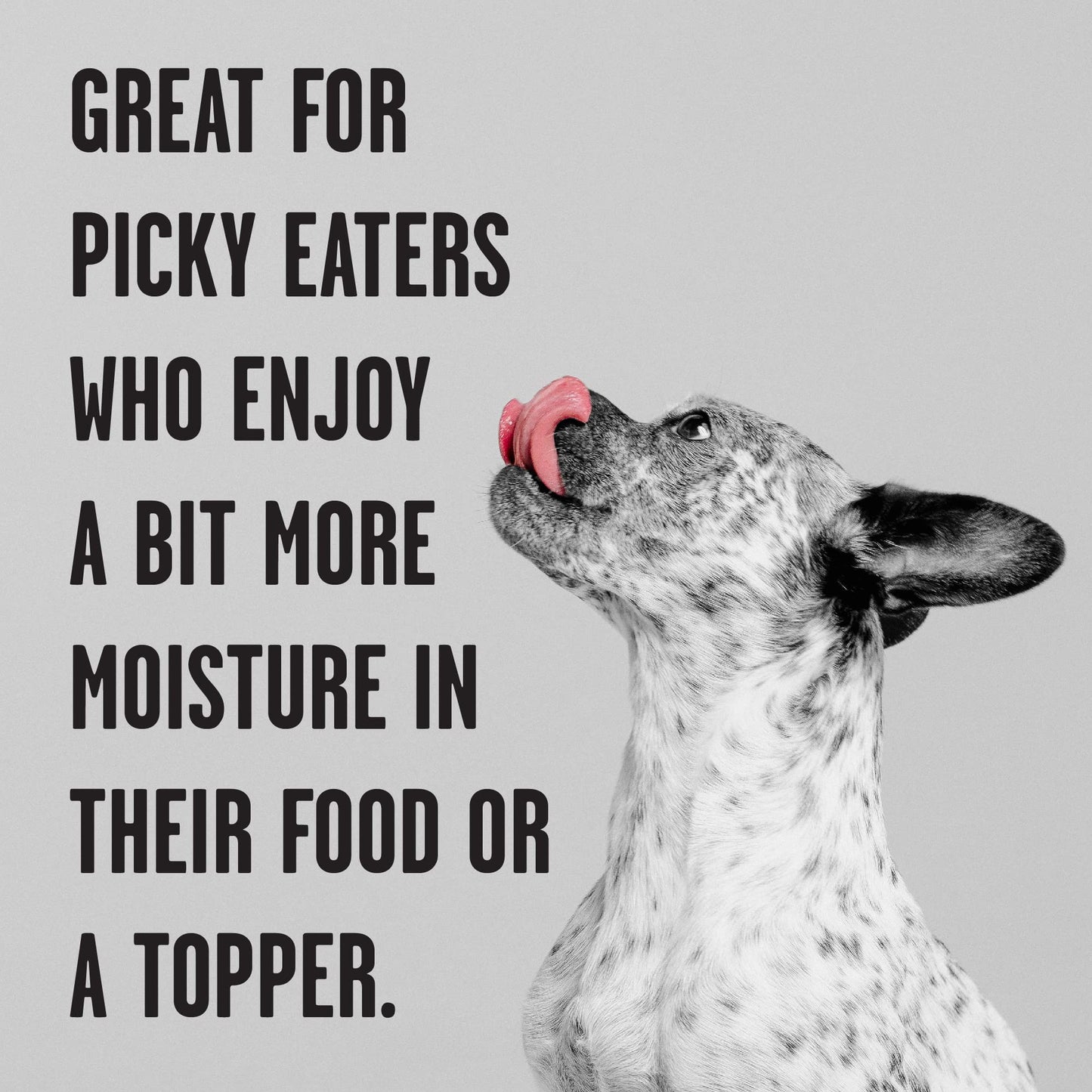 BIXBI Rawbble Grain - Free Canned Wet Dog Food, Chicken Recipe, 12.5 oz. Cans (Pack of 12)