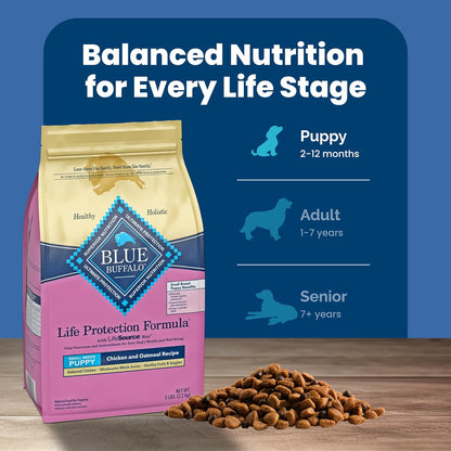 Blue buffalo life protection formula puppy chicken and oatmeal recipe