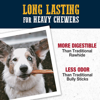 Cadet Bully Hide Sticks for Small Dogs, All - Natural Beef Pizzle, Limited - Ingredient Long - Lasting Dog Chews for Aggressive Chewers, 4 Count