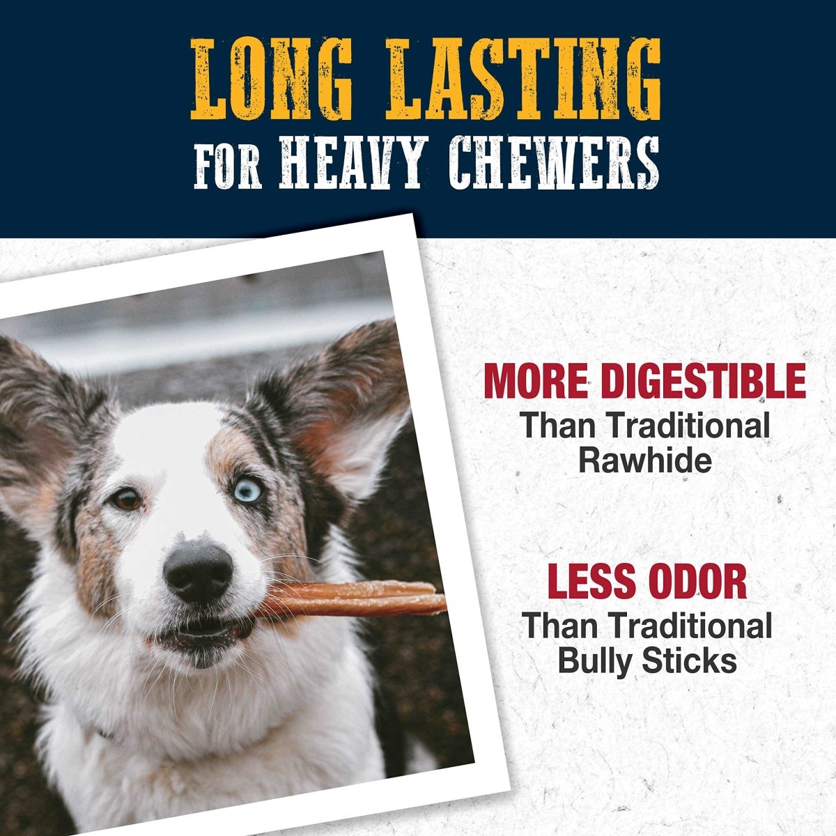 Cadet Bully Hide Sticks for Small, Medium and Large Dogs – All - Natural Beef Pizzle, High Protein, Low Fat, Long - Lasting, Grain & Rawhide - Free Dog Chews for Aggressive Chewers, Small (9 Count) - 768303705557